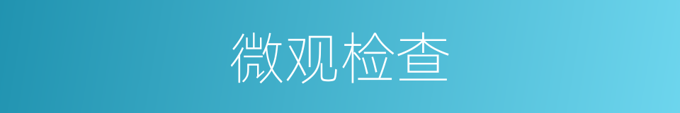 微观检查的同义词