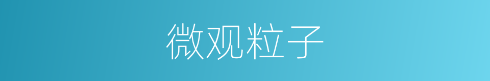 微观粒子的意思