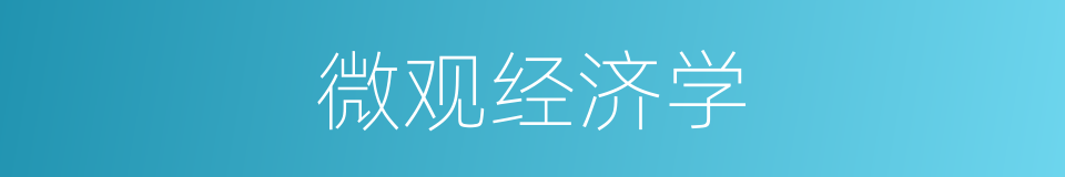 微观经济学的意思