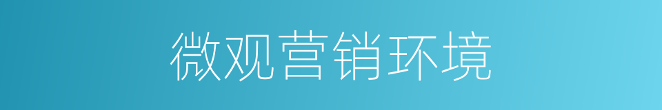 微观营销环境的同义词