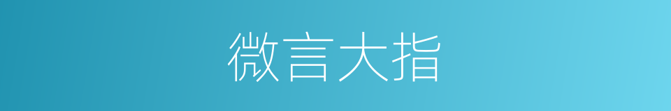 微言大指的意思