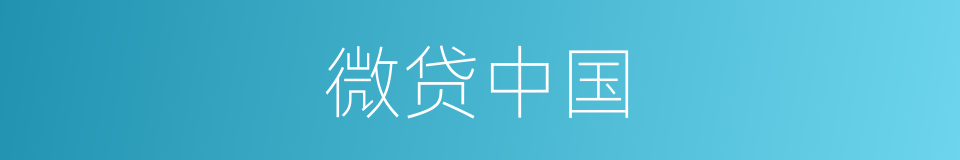 微贷中国的同义词