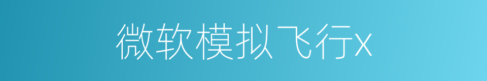 微软模拟飞行x的同义词