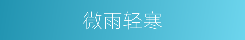 微雨轻寒的同义词