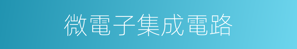 微電子集成電路的同義詞
