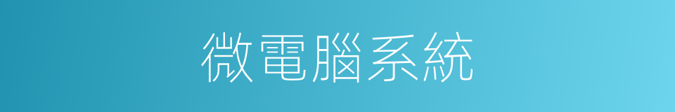 微電腦系統的同義詞