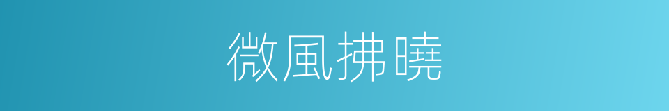 微風拂曉的同義詞
