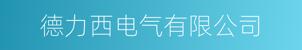 德力西电气有限公司的同义词