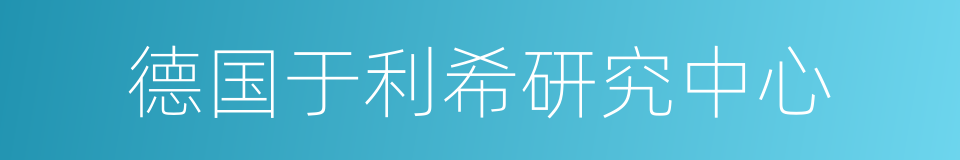 德国于利希研究中心的同义词