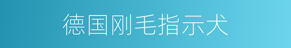德国刚毛指示犬的同义词