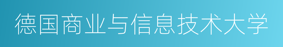 德国商业与信息技术大学的同义词