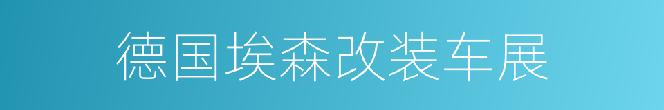 德国埃森改装车展的同义词