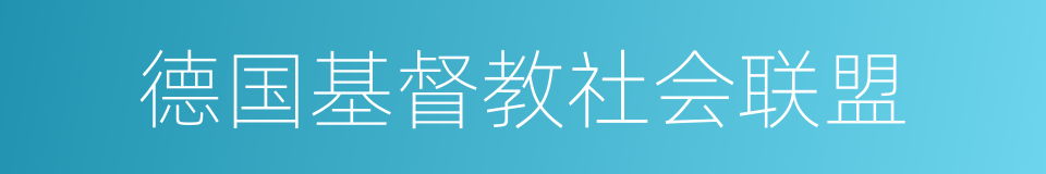 德国基督教社会联盟的同义词