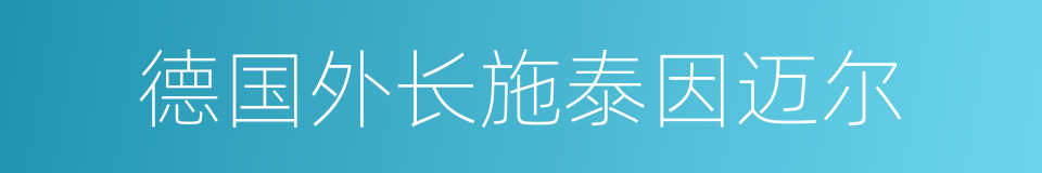 德国外长施泰因迈尔的同义词