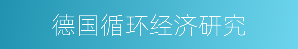 德国循环经济研究的同义词