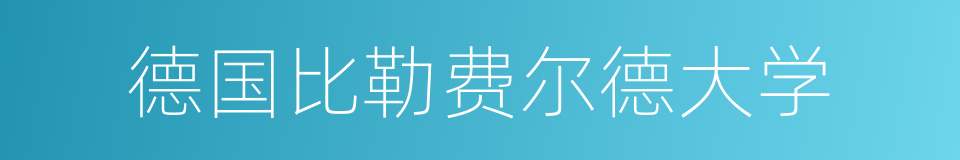 德国比勒费尔德大学的同义词