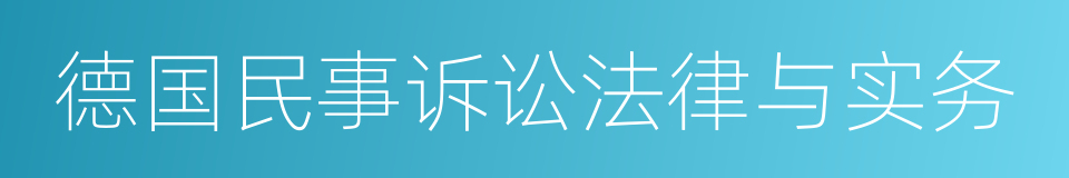 德国民事诉讼法律与实务的意思