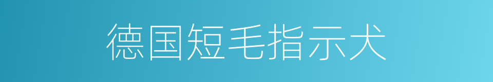 德国短毛指示犬的同义词