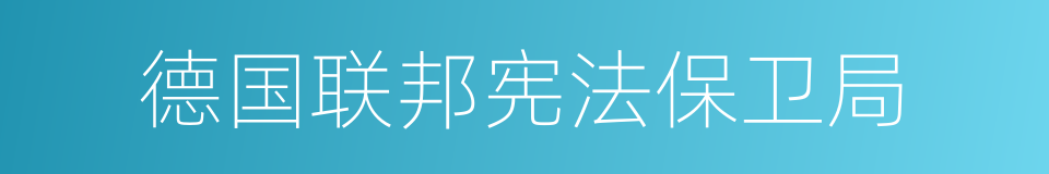 德国联邦宪法保卫局的同义词