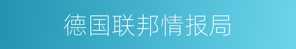 德国联邦情报局的同义词