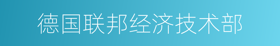 德国联邦经济技术部的同义词