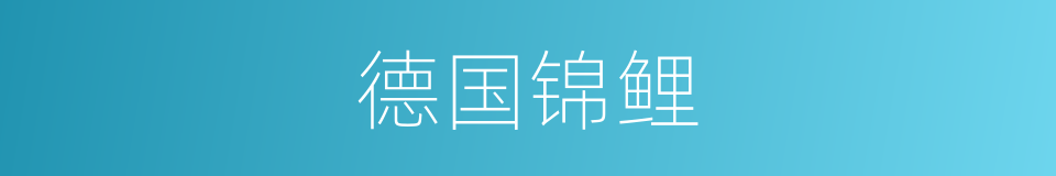 德国锦鲤的同义词