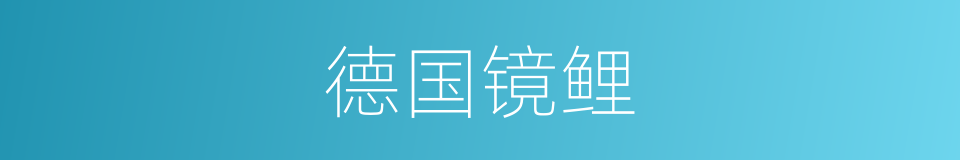 德国镜鲤的同义词