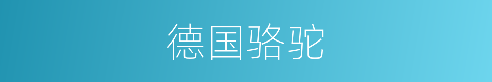 德国骆驼的同义词