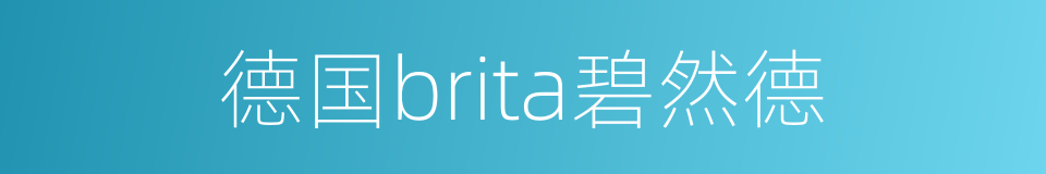 德国brita碧然德的同义词