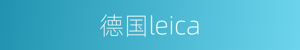 德国leica的同义词