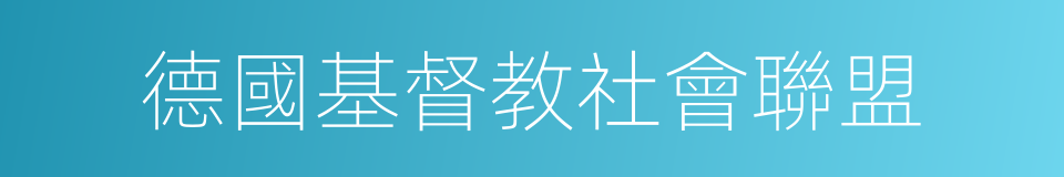 德國基督教社會聯盟的同義詞