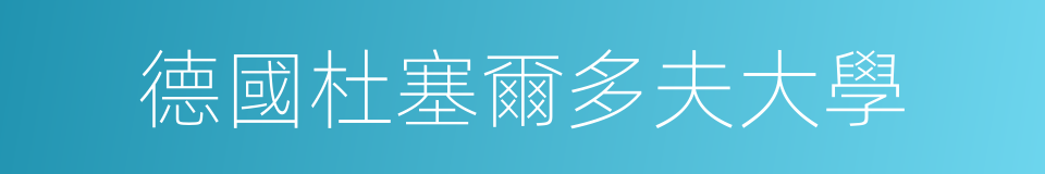 德國杜塞爾多夫大學的同義詞