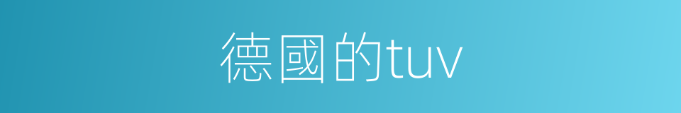 德國的tuv的同義詞