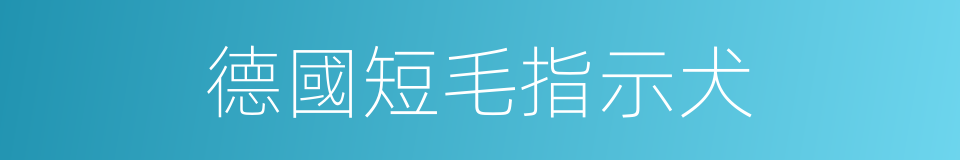 德國短毛指示犬的同義詞