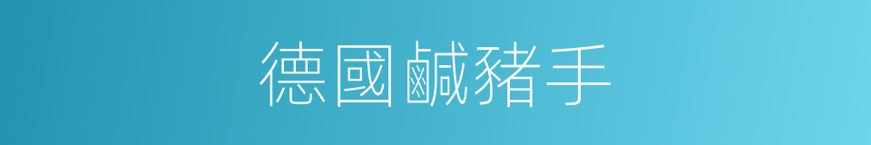 德國鹹豬手的同義詞
