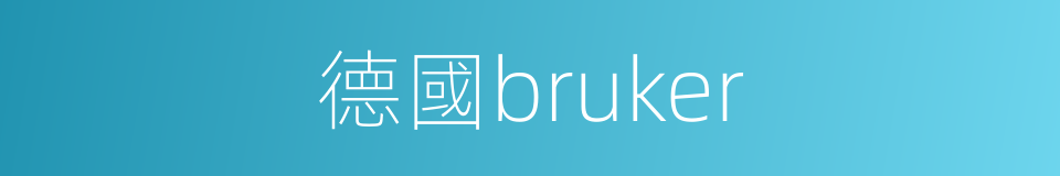 德國bruker的同義詞