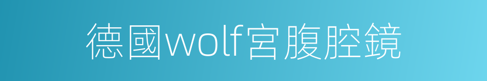 德國wolf宮腹腔鏡的同義詞