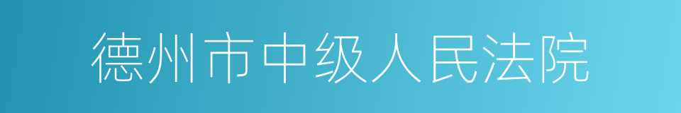 德州市中级人民法院的同义词