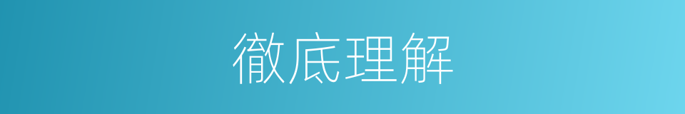 徹底理解的同義詞