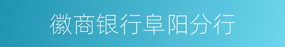 徽商银行阜阳分行的同义词