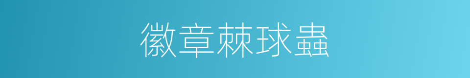 徽章棘球蟲的同義詞