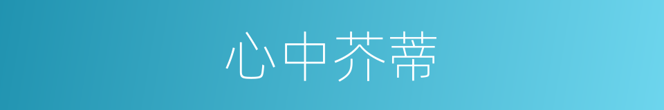 心中芥蒂的意思