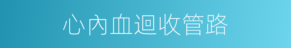 心內血迴收管路的同義詞