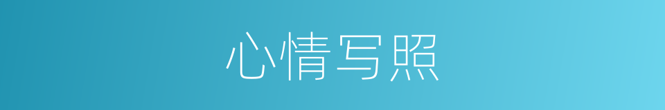 心情写照的意思