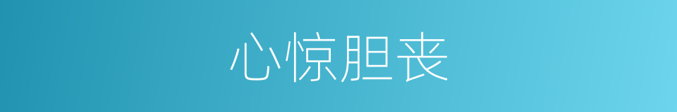心惊胆丧的意思