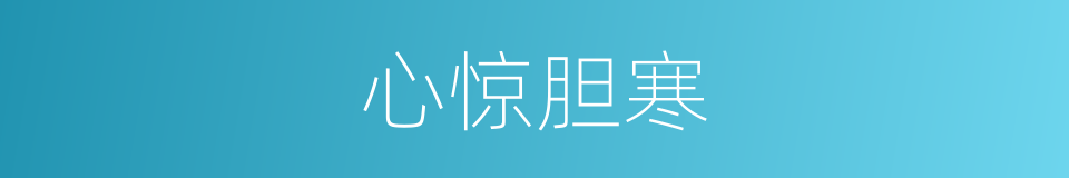 心惊胆寒的意思