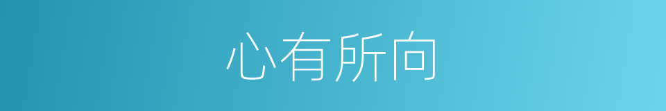 心有所向的意思