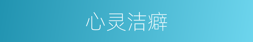 心灵洁癖的同义词