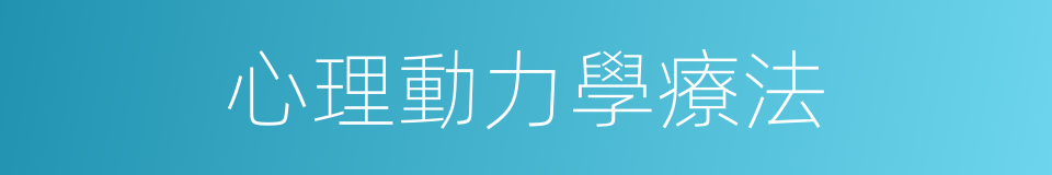 心理動力學療法的同義詞