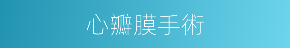 心瓣膜手術的同義詞